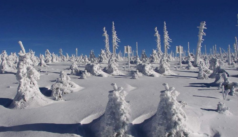 Orea Resort Horizont Železná Ruda